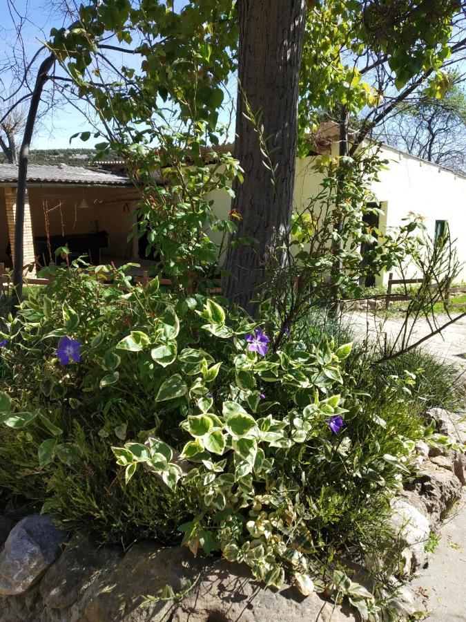 Camping Yaso-Guara Esterno foto